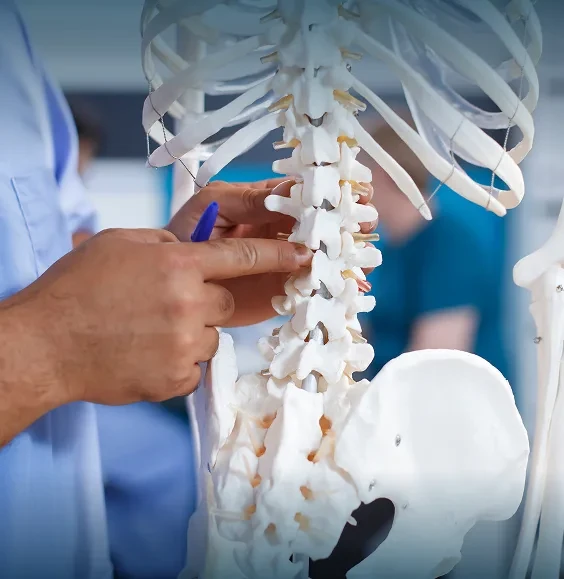 Types of Spinal Injuries